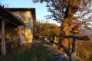 Alla ‘Madunina del Giong’ e ai Prati Parini ad anello da Botta di Sedrina il 12 nov. 2016 - FOTOGALLERY